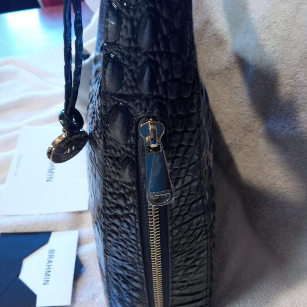 Brahman - Tabitha - Nocturnal Melbourne - Picture 4 of 6